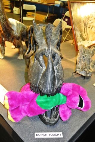 Death match: Barney bites the dust